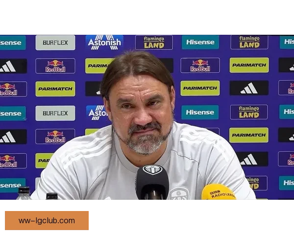 丹尼尔法尔克执教利兹联虽有亮点最终未能成功带队重返英超